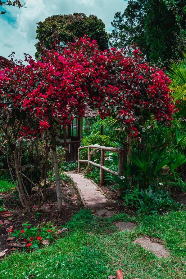 San Agustín Hotel Casa De Nelly מראה חיצוני תמונה