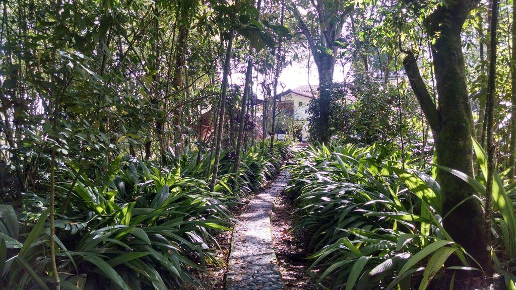 San Agustín Hotel Casa De Nelly מראה חיצוני תמונה